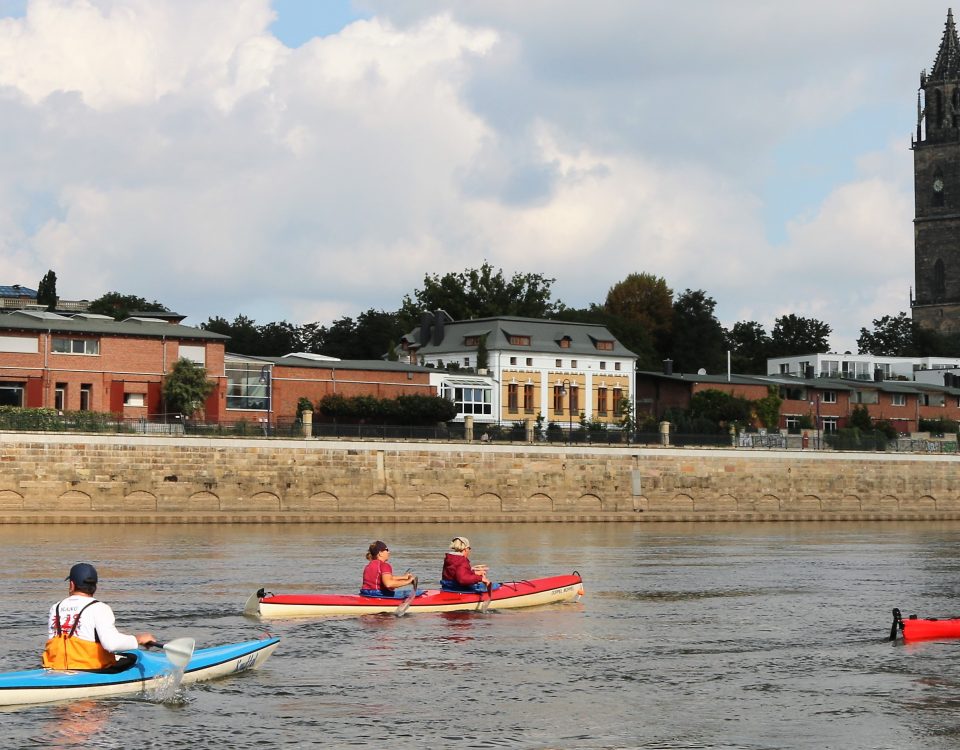 Kanuten auf der Elbe entlang der Domstadt Magdeburg