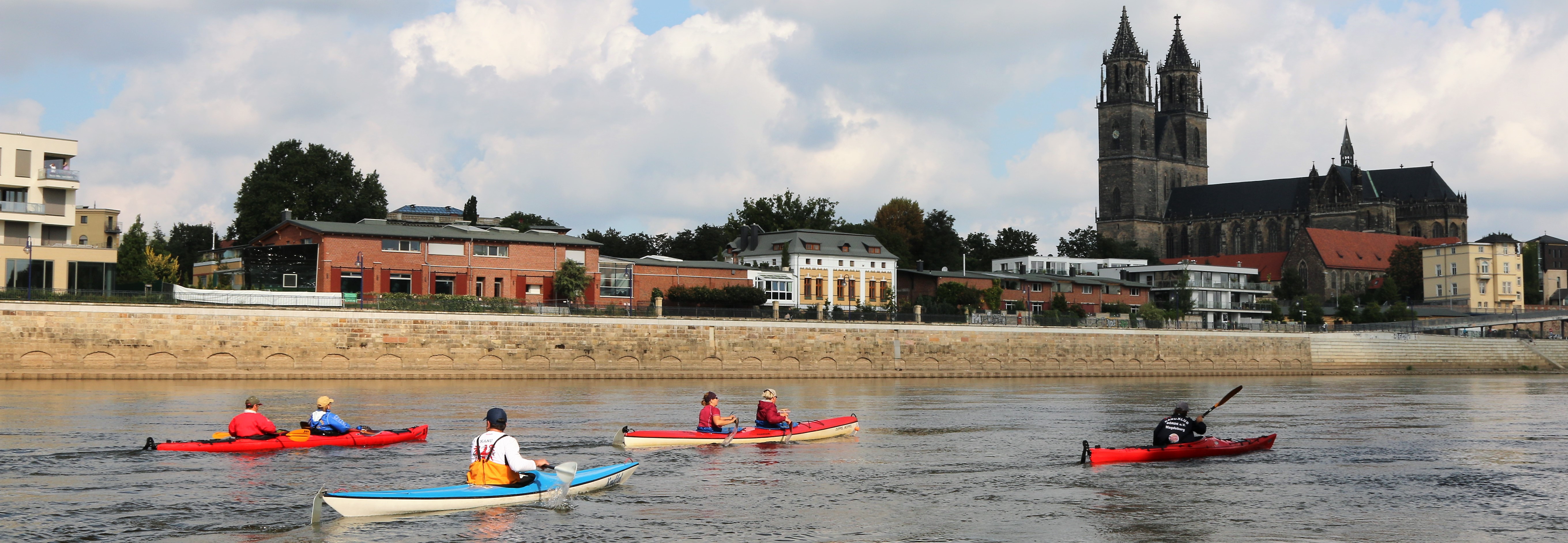 Kanuten auf der Elbe entlang der Domstadt Magdeburg